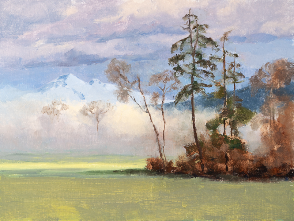 Fog in Skagit Valley