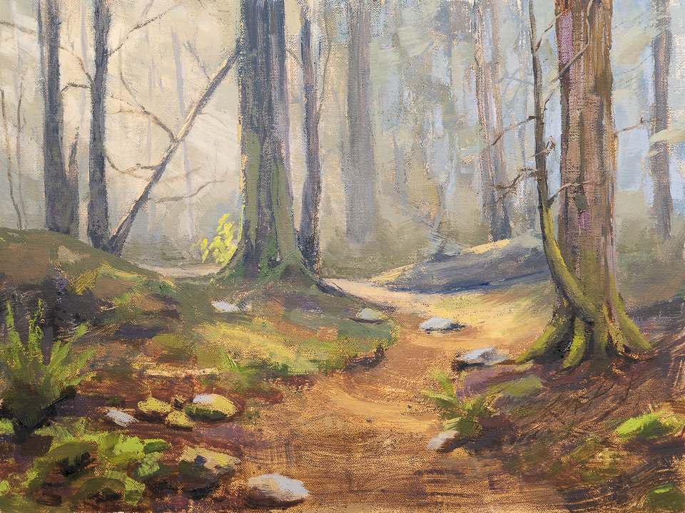 Forest Path