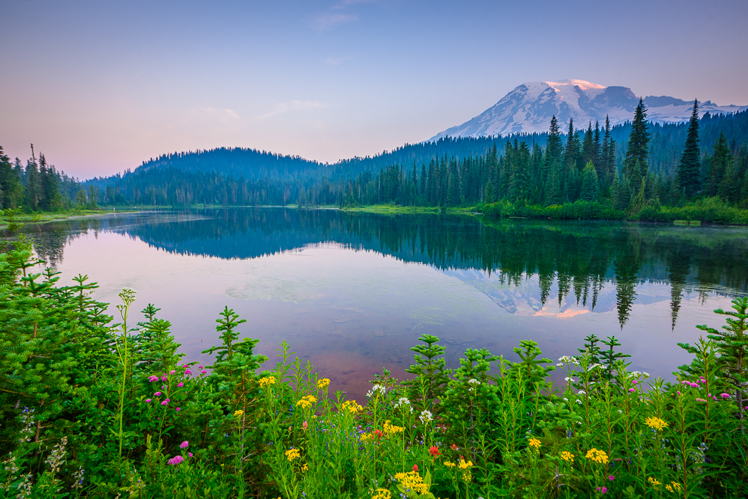 Rainier Wonderland 2018