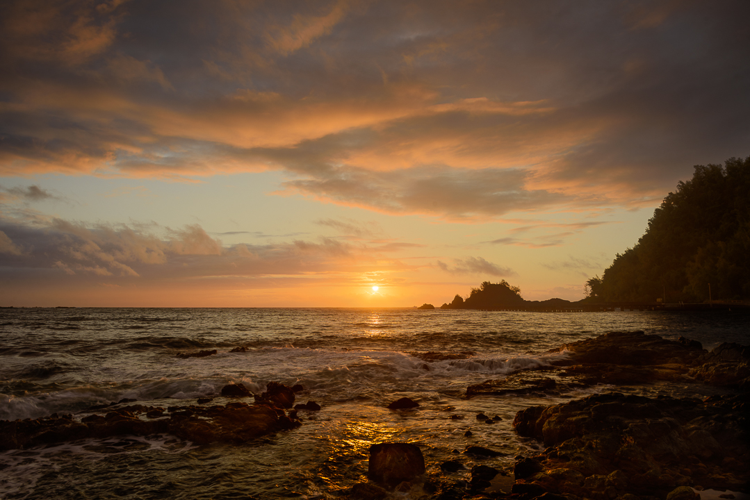 Hawaiian Sun (2018)
