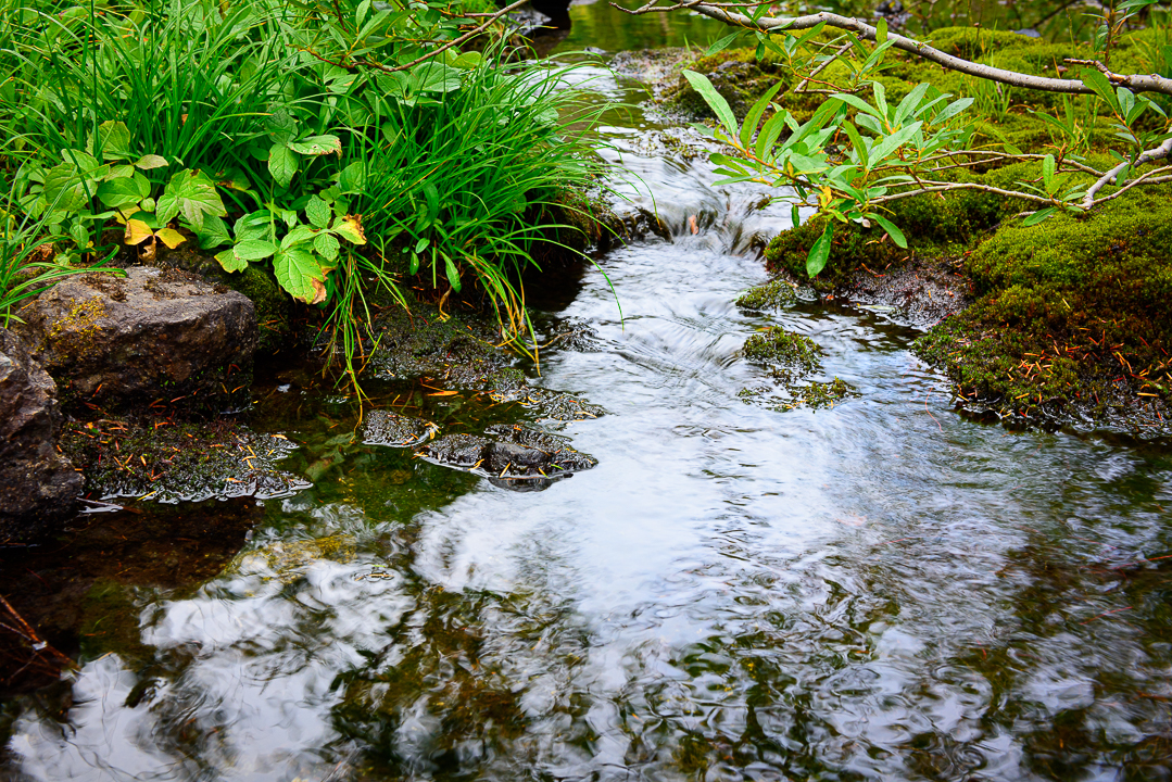 Little Streams