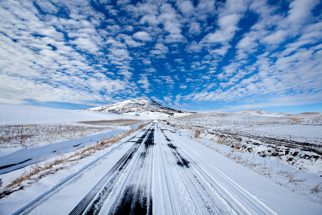 Rolling Hills in White